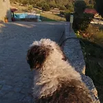 Quinta Do Quetrofe Σπίτι διακοπών Γκουάρντα