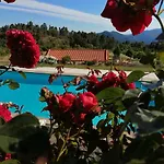 Quinta Do Quetrofe Σπίτι διακοπών