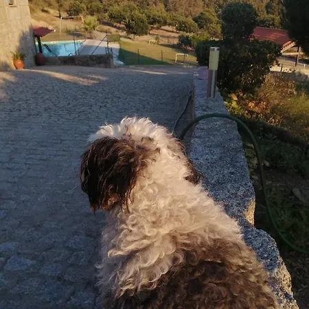 Quinta Do Quetrofe Casa de Férias Guarda