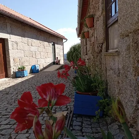 Quinta Do Quetrofe