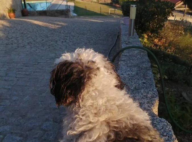 Quinta Do Quetrofe Сasa de vacaciones Guarda