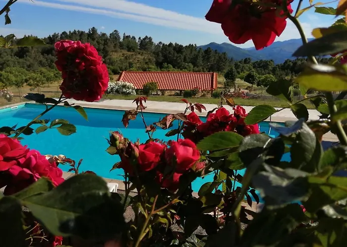 Quinta Do Quetrofe Holiday home